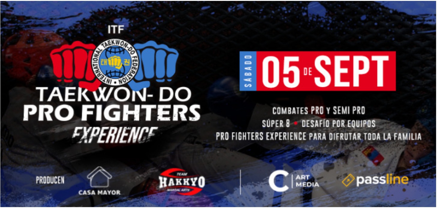 Pro Fighters Experience
